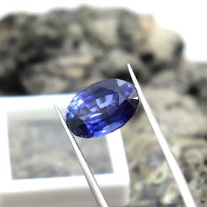 May include: A deep blue oval sapphire gemstone held by tweezers. The sapphire is faceted and has a brilliant shine.