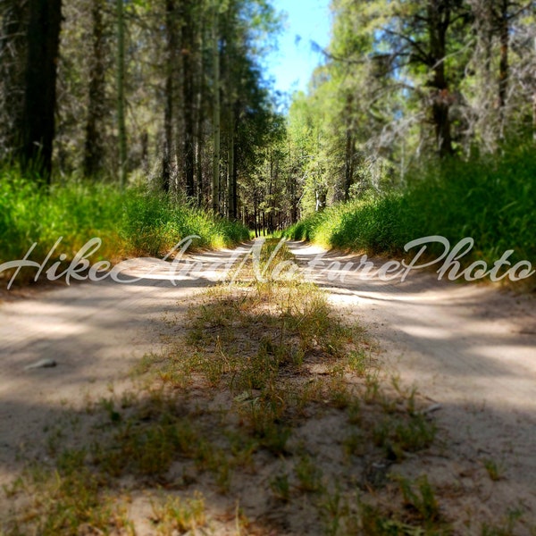 Digital Download / Nature / Road / Vibrant / Instant Photo / High Country