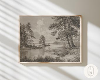 Muskoka Forest | Unframed and Framed Fine Art Print