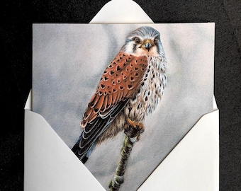 Kestrel Bird Of Prey Birthday Card