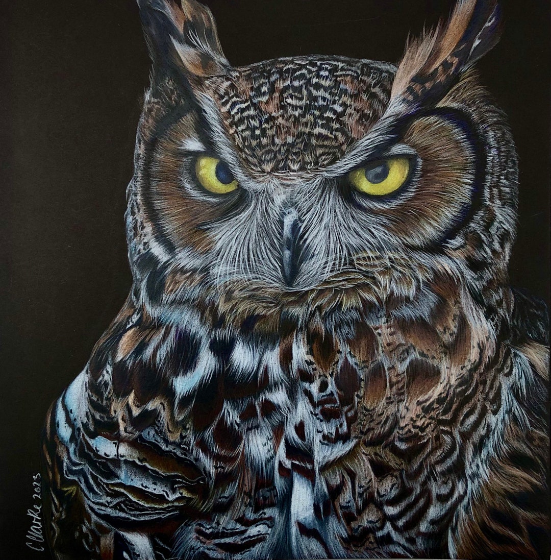 Great Horned Owl Art Print | Colored Pencil Wildlife Illustration - Etsy