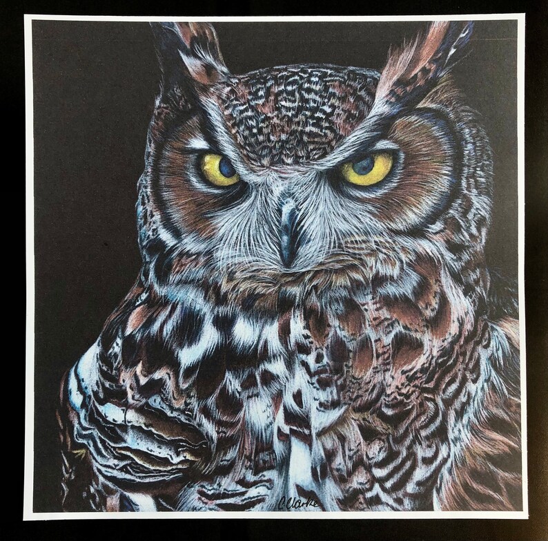 Great Horned Owl Art Print | Colored Pencil Wildlife Illustration - Etsy