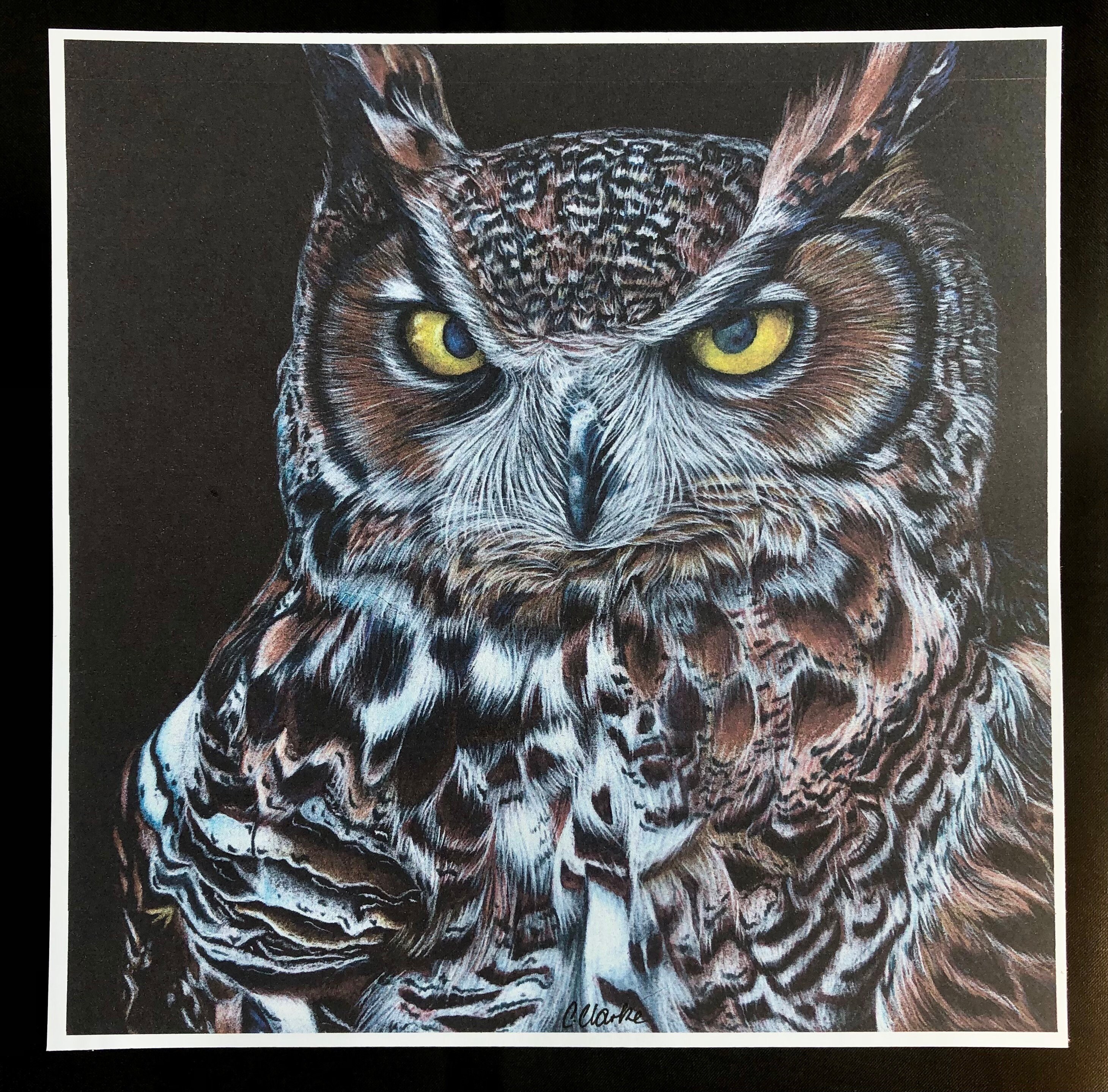 Great Horned Owl Art Print | Colored Pencil Wildlife Illustration - Etsy