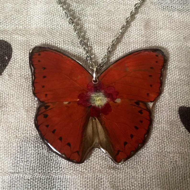 Real Butterfly Wing Necklace Cymothoe Butterfly Red Root Chakra Healing Grounding Necklace