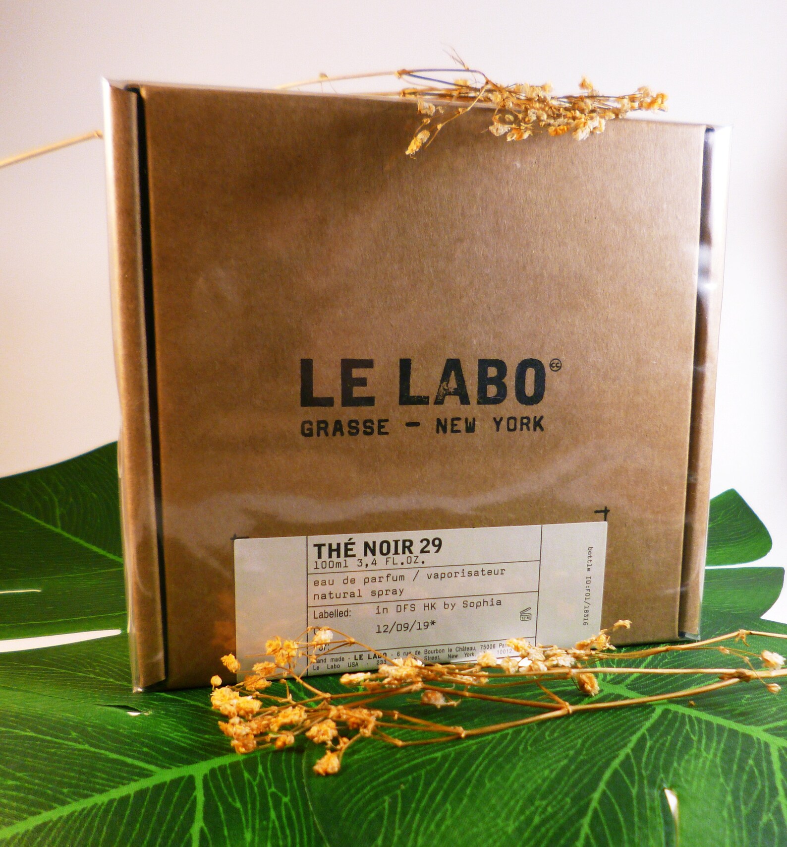 le labo noir 29 dossier le labo noir 29 dossier