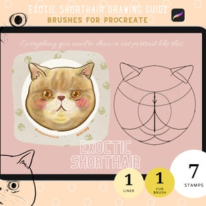 Könnte beinhalten: Eine digitale Illustration einer Exotic Shorthair Katze mit einer Anleitung zum Zeichnen eines Katzenportraits. Die Anleitung enthält 1 Liner-Pinsel, 1 Fell-Pinsel und 7 Stempel. Der Text "EXOTIC SHORTHAIR" wird in Fettdruck angezeigt.