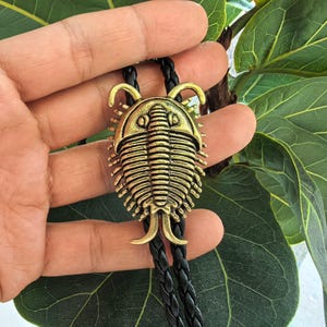 Trilobite Beetle Bolo Tie for Men Women - Brass Insect Bug Native Necktie Fashion Accessories