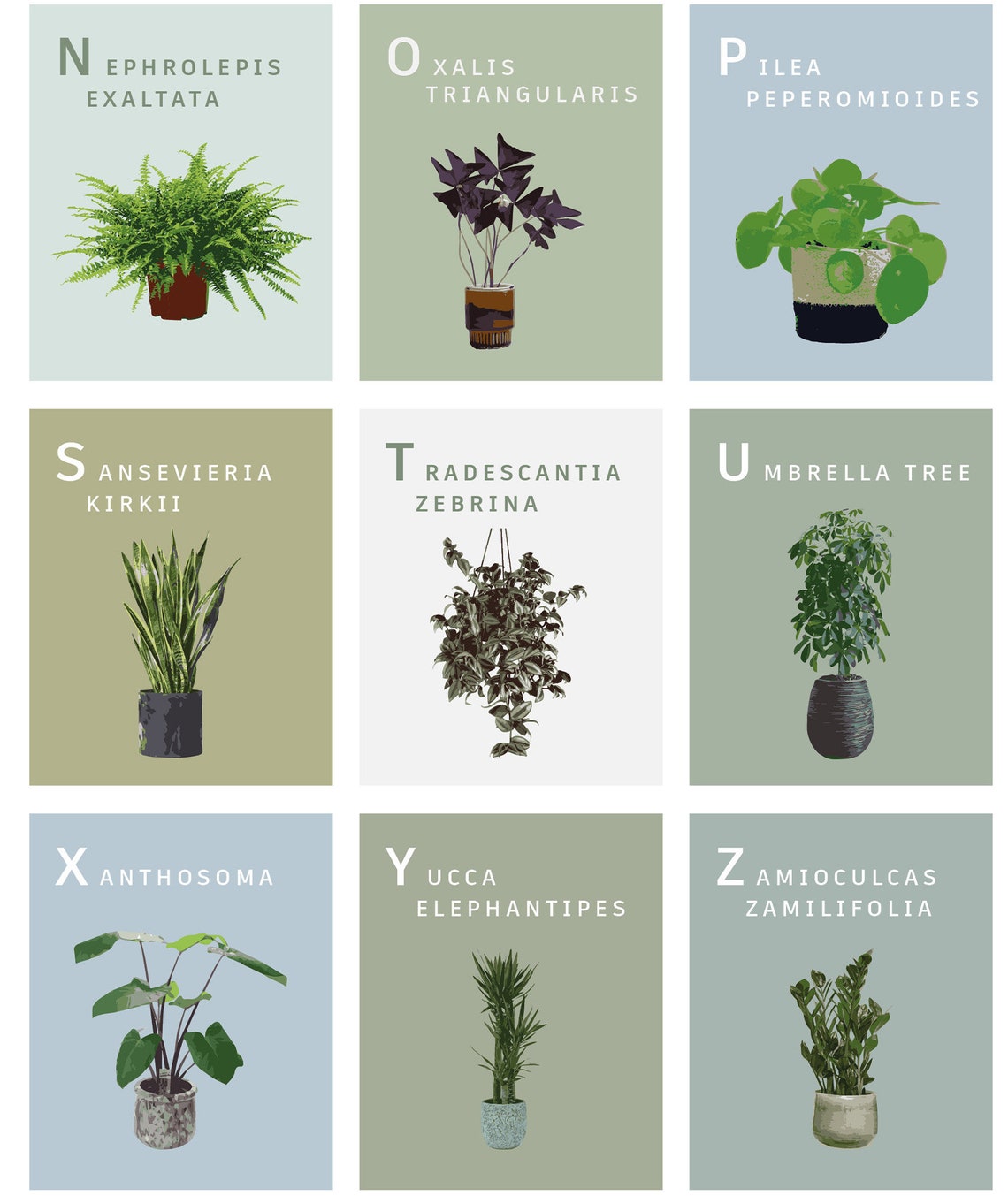 The House Plant Alphabet AZ Print. Unframed Digital Art A to Etsy