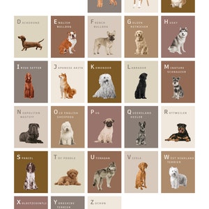 The Dog Lover's Alphabet Print. Personalised pet name, custom made, unframed digital art illustration for home, great gift Dog breed A-Z image 2