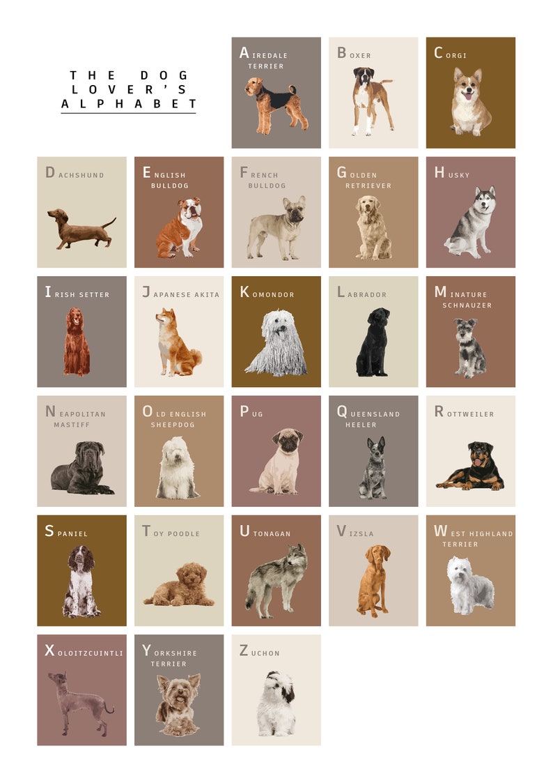 The Dog Lover's Alphabet Print. Personalised pet name, custom made, unframed digital art illustration for home, great gift Dog breed A-Z image 2