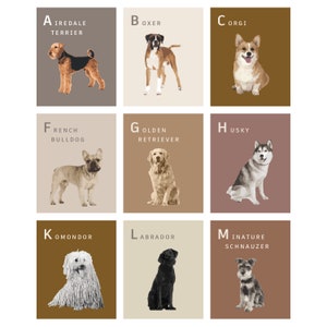 Airedale terrier, boxer, corgi, french bulldog, golden retriever, husky, komondor, Labrador, miniature schnauzer
