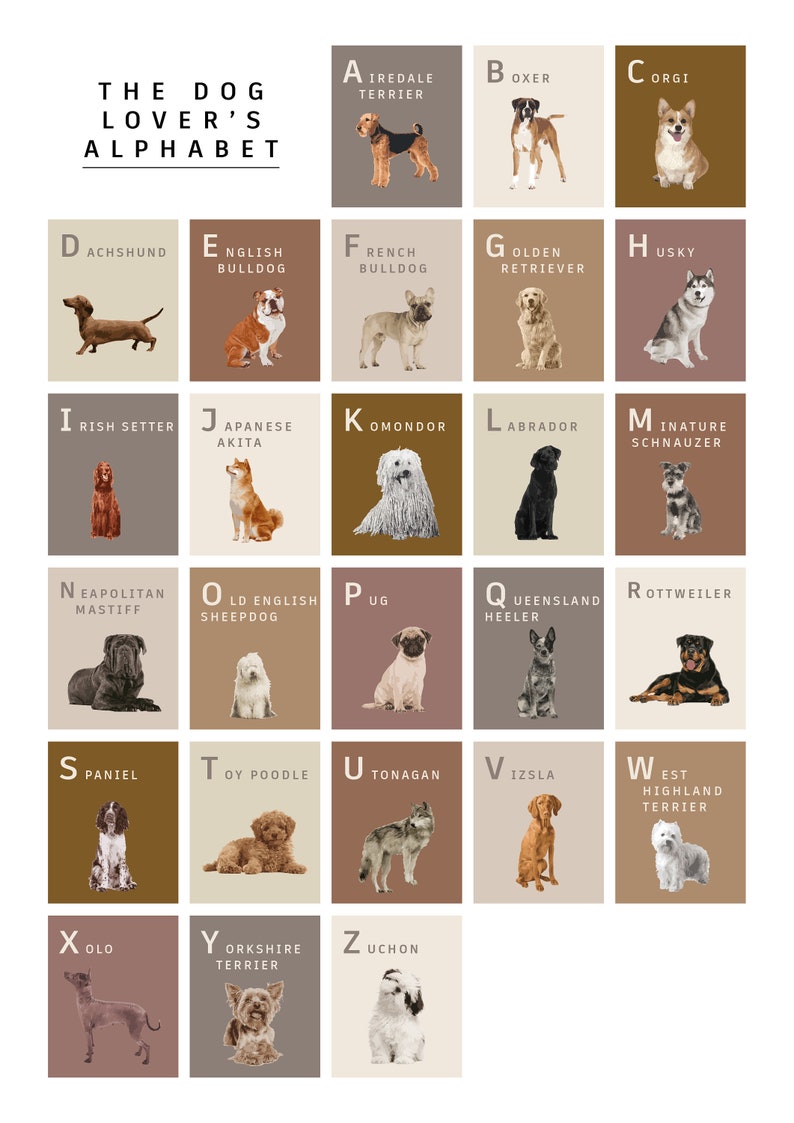 The Dog Lover's Alphabet Print. Personalised pet name, custom made, unframed digital art illustration for home, great gift Dog breed A-Z A4