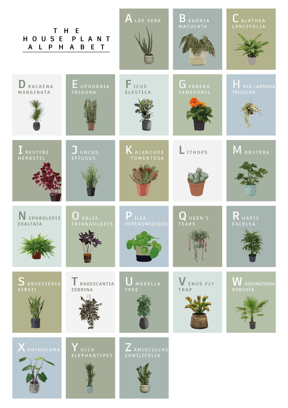 The House Plant Alphabet AZ Print. Unframed Digital Art A to Etsy