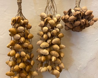 Kenari seeds rattle (INDONESIA)