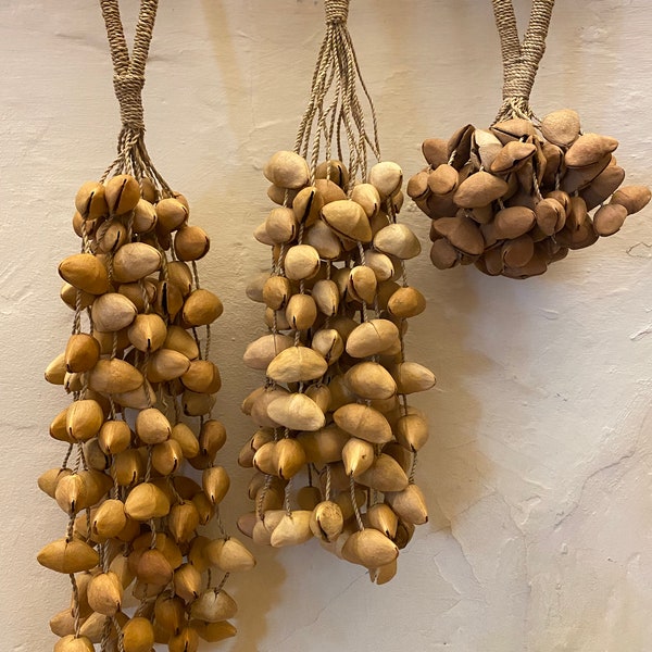 Kenari seeds rattle (INDONESIA)