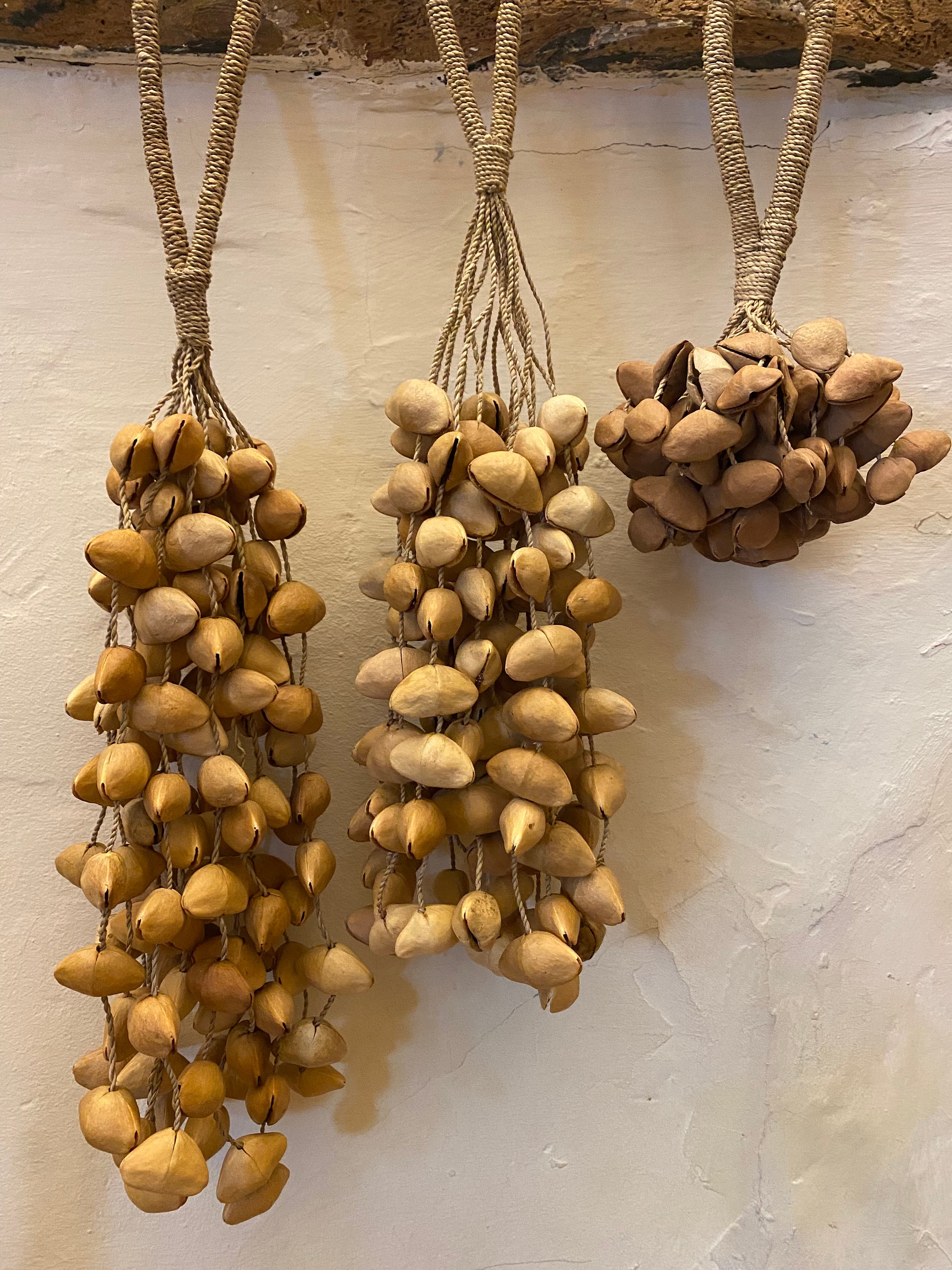 Kenari seeds rattle (INDONESIA)