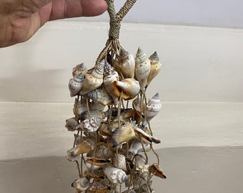 Kerang sea shells rattle (INDONESIA)