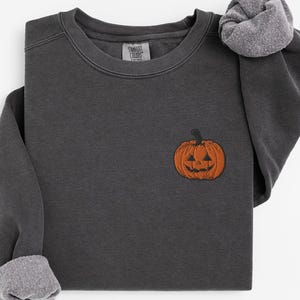 Peut inclure: Sweat-shirt gris foncé avec une petite citrouille orange brodée sur le devant. Le sweat-shirt a un col rond et des manches longues avec des poignets gris. Un haut décontracté et confortable pour l'automne.