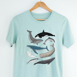 Whale Shirt, Whale T-Shirt, Ocean Shirt, Beluga Whale, Orca, Dolphin Shirt, Sea Animals Shirt, Save the Ocean Shirt, Marine Biology Gift