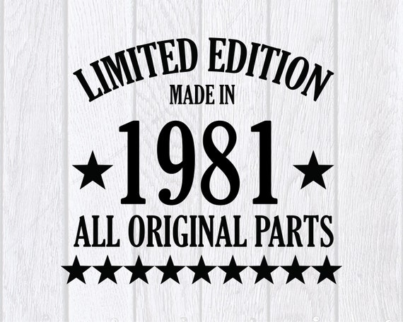 Vintage Made In 1981 39 Years Old Original Parts Birthday T-Shirt Vintage Made In 1981 39 Years Old Original Parts Birthday T-Shirt