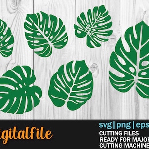 Monstera leaf svg png eps dxf bundle