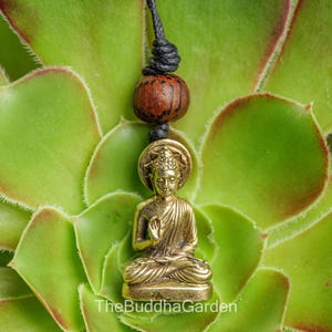 May include: A small, gold-colored Buddha pendant necklace. The Buddha figure is seated in a meditative pose. The pendant hangs from a black cord with a wooden bead. The background is a green succulent plant. The text "TheBuddhaGarden" is visible.