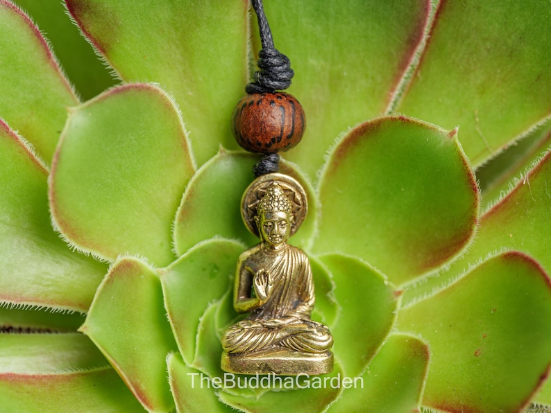 May include: A small, gold-colored Buddha pendant necklace. The Buddha figure is seated in a meditative pose. The pendant hangs from a black cord with a wooden bead. The background is a green succulent plant. The text "TheBuddhaGarden" is visible.