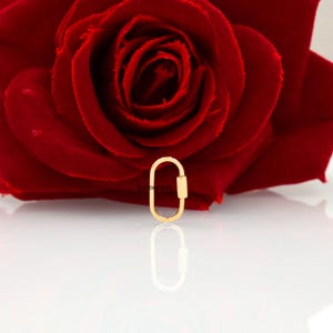 K&ouml;nnte beinhalten: Goldfarbener ovaler Verschluss mit einem kleinen, zylindrischen Balken auf einer Seite. Der Verschluss befindet sich auf einer wei&szlig;en Oberfl&auml;che mit einer roten Rose im Hintergrund.