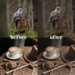 May include: Before and after image showing the difference in color and contrast of a photo. The before image shows a snowy owl perched on a tree stump in a forest. The after image shows the same owl with warmer tones and increased contrast. The bottom half of the image shows a cup of coffee, a knitted blanket, and knitting needles.