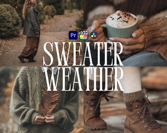 Sweater Weather LUTs for Adobe Premiere Pro, 10 Video Luts, Neutral Beige, Autumn Aesthetic, Fall Vlog Filters, Youtube Video Editing Preset