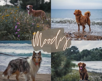 Moody Dog Lightroom Presets, 3 Mobile Presets, Presets for Dogs, Pet Presets, Dark Presets, Puppy Influencer, Earthy Tones, Outdoor Filter