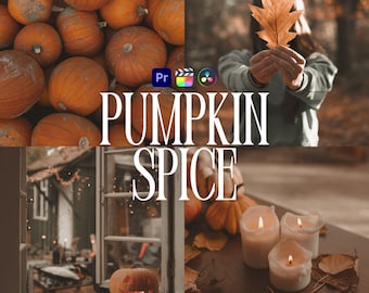 Pumpkin Spice LUTs for Adobe Premiere Pro, 10 Video Luts, Warm Beige Autumn Aesthetic, Fall Vlog Filters, Youtube Video Editing Presets