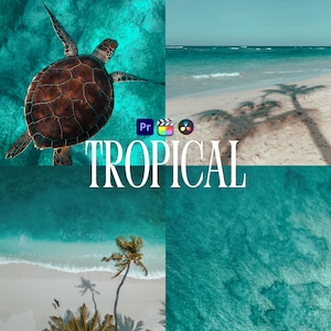 Tropical LUTs for Adobe Premiere Pro, 10 Travel Nature Luts, Beach, Maldives, Island, Ocean, Summer Vacation Cinematic Video Editing Presets