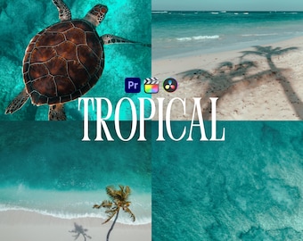 Tropical LUTs for Adobe Premiere Pro, 10 Travel Nature Luts, Beach, Maldives, Island, Ocean, Summer Vacation Cinematic Video Editing Presets