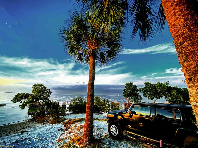 blue sky sea tree home decor digital print wall hanging sunrise sunset beach palm trees car christmas poster picture,photograph