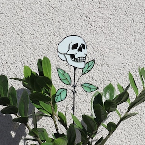 Op de afbeelding: Een witte keramische pot met een groene, bladerrijke plant. Een witte schedel met zwarte ogen en een zwarte mond is aan de plant bevestigd.