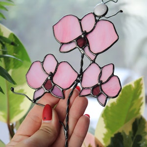 K&ouml;nnte beinhalten: Eine rosafarbene Orchideenbl&uuml;te aus Glasmalerei mit einer wei&szlig;en Perle an der Spitze des Stiels. Die Orchidee besteht aus mehreren Glasscheiben und wird in der Hand einer Person gehalten.