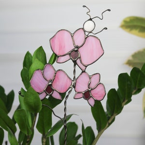 K&ouml;nnte beinhalten: Eine rosa Glasorchidee mit wei&szlig;em Zentrum, befestigt an einem Drahtst&auml;ngel. Die Orchidee ist in eine gr&uuml;ne Topfpflanze gestellt.