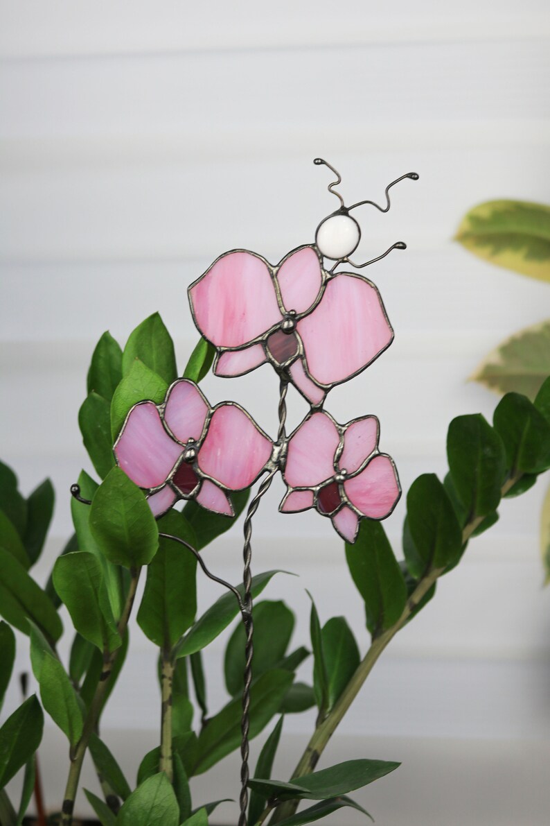 K&ouml;nnte beinhalten: Eine rosa Glasorchidee mit wei&szlig;em Zentrum, befestigt an einem Drahtst&auml;ngel. Die Orchidee ist in eine gr&uuml;ne Topfpflanze gestellt.