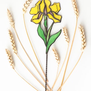 May include: A yellow stained glass iris flower with green leaves and a black metal stem. The flower is surrounded by dried wheat stalks on a white background.