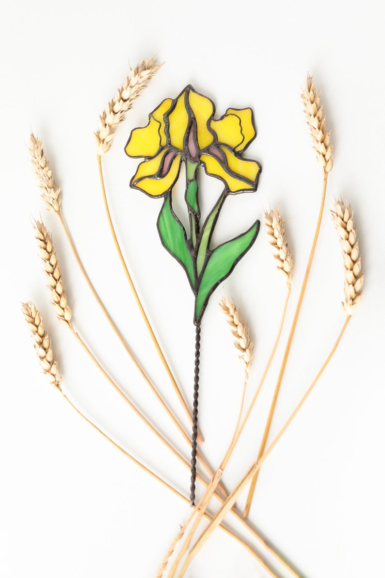May include: A yellow stained glass iris flower with green leaves and a black metal stem. The flower is surrounded by dried wheat stalks on a white background.