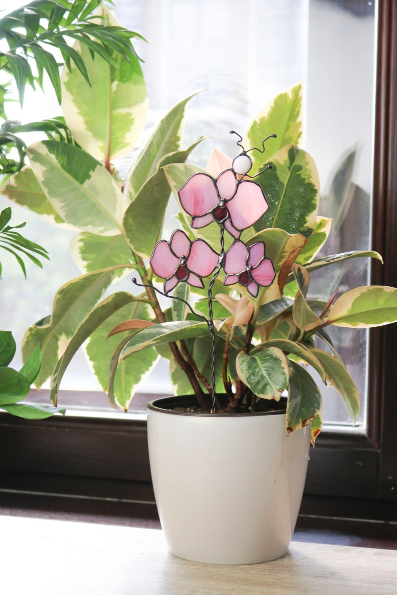 K&ouml;nnte beinhalten: Eine rosafarbene Glasorchideen-Blumenarrangement in einem wei&szlig;en Topf mit gr&uuml;nen Bl&auml;ttern. Die Orchidee befindet sich auf einem Drahtst&auml;ngel und ist ein dekoratives St&uuml;ck f&uuml;r ein Zuhause oder B&uuml;ro.