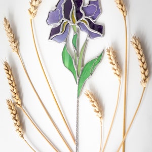 May include: A stained glass iris flower with purple, green, and yellow accents. The flower is on a white background with wheat stalks surrounding it.