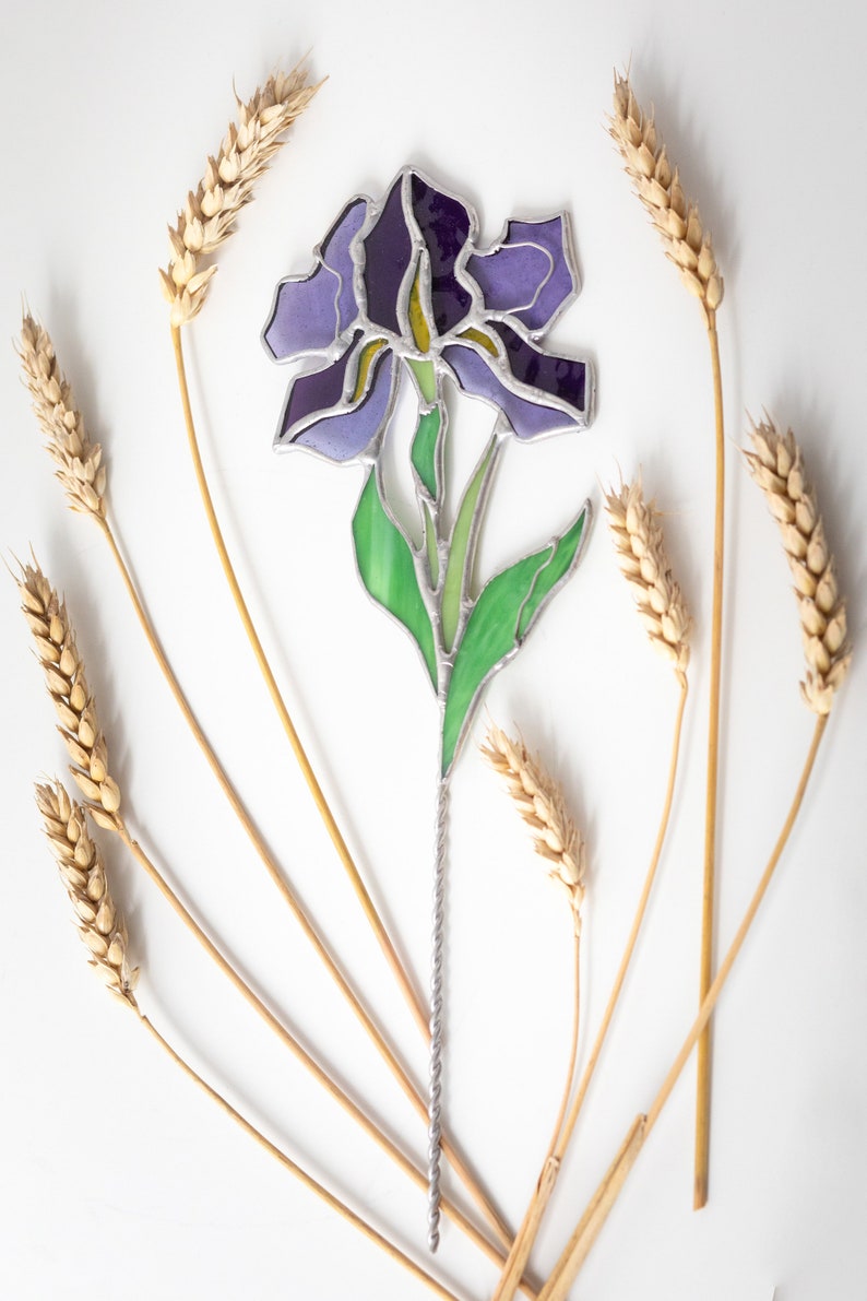 May include: A stained glass iris flower with purple, green, and yellow accents. The flower is on a white background with wheat stalks surrounding it.