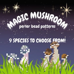 May include: A digital illustration of nine different types of magic mushrooms, with the text "MAGIC MUSHROOM perler bead patterns 9 SPECIES TO CHOOSE FROM!" at the top of the image.