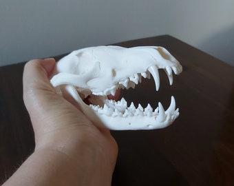 Fox Skull Etsy Uk