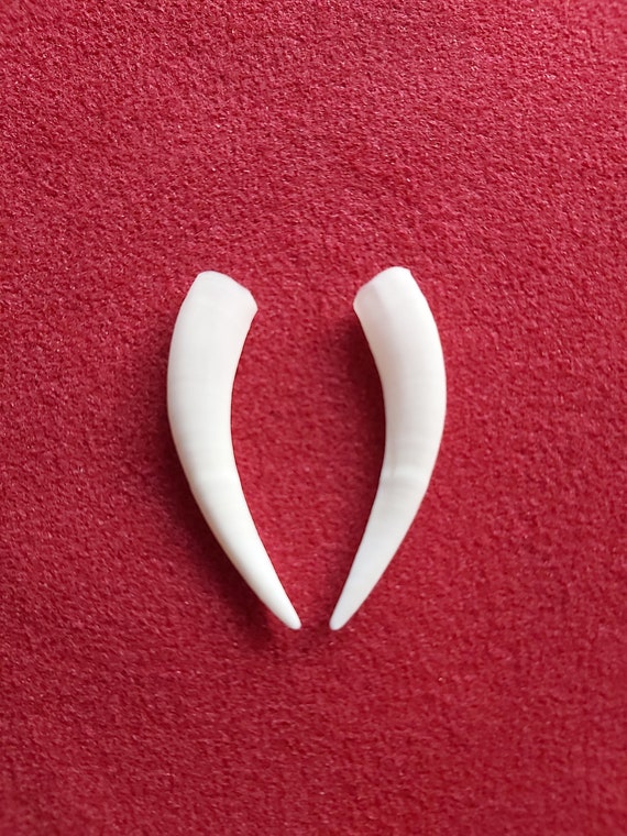 Echte Chinesische Wasserhirsch Buck Tusks Praparatoren Etsy