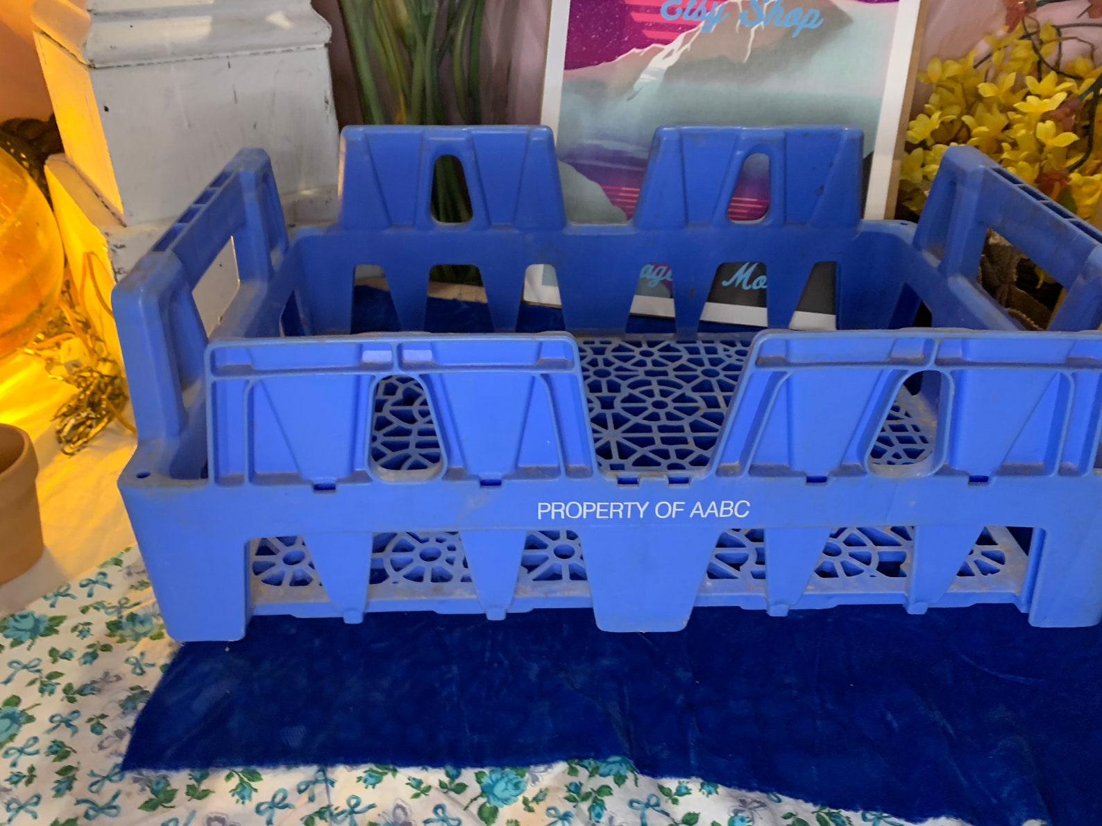 Vintage Plastic Soda Crate Etsy