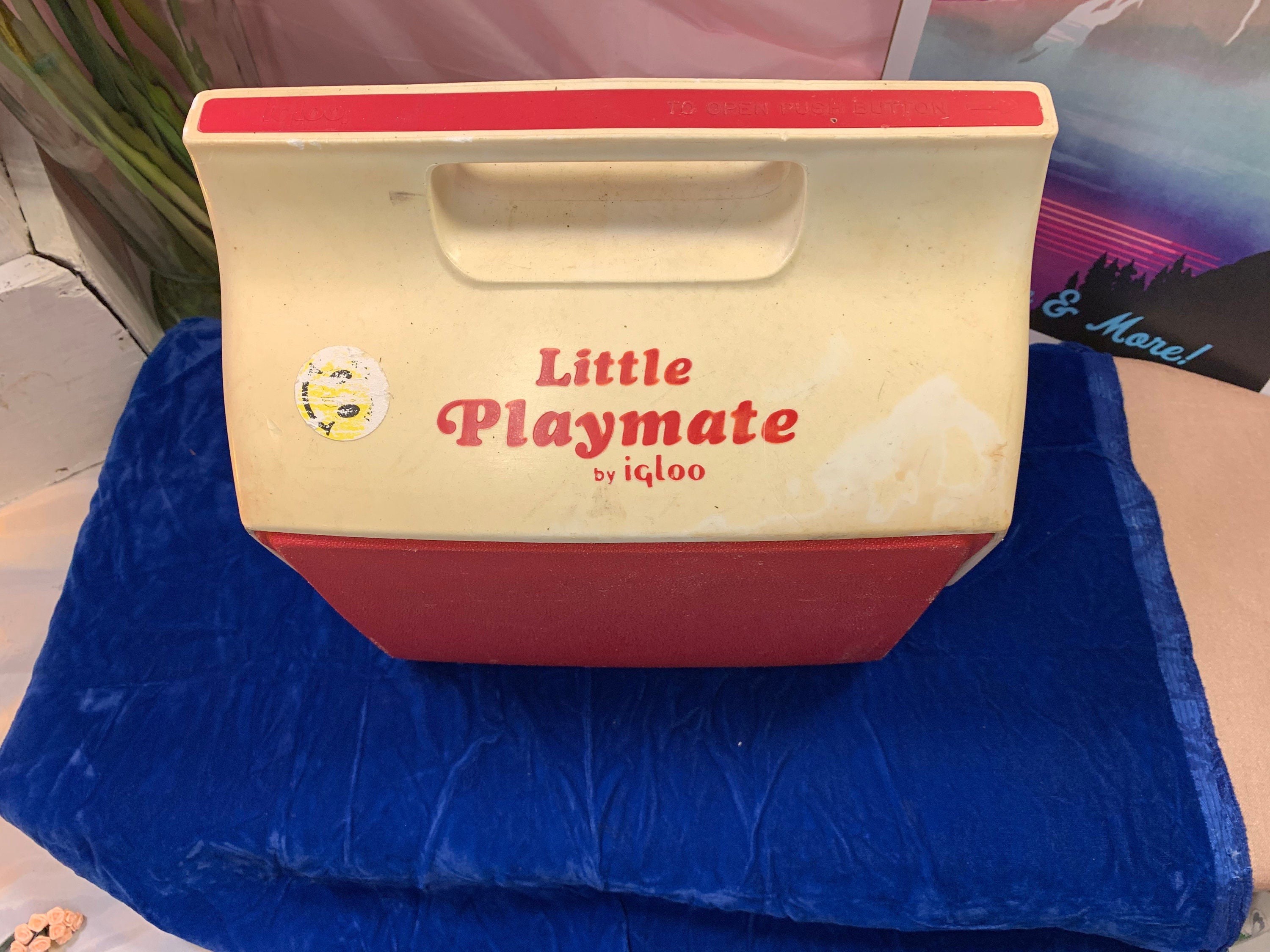 Small playmate cooler 2025