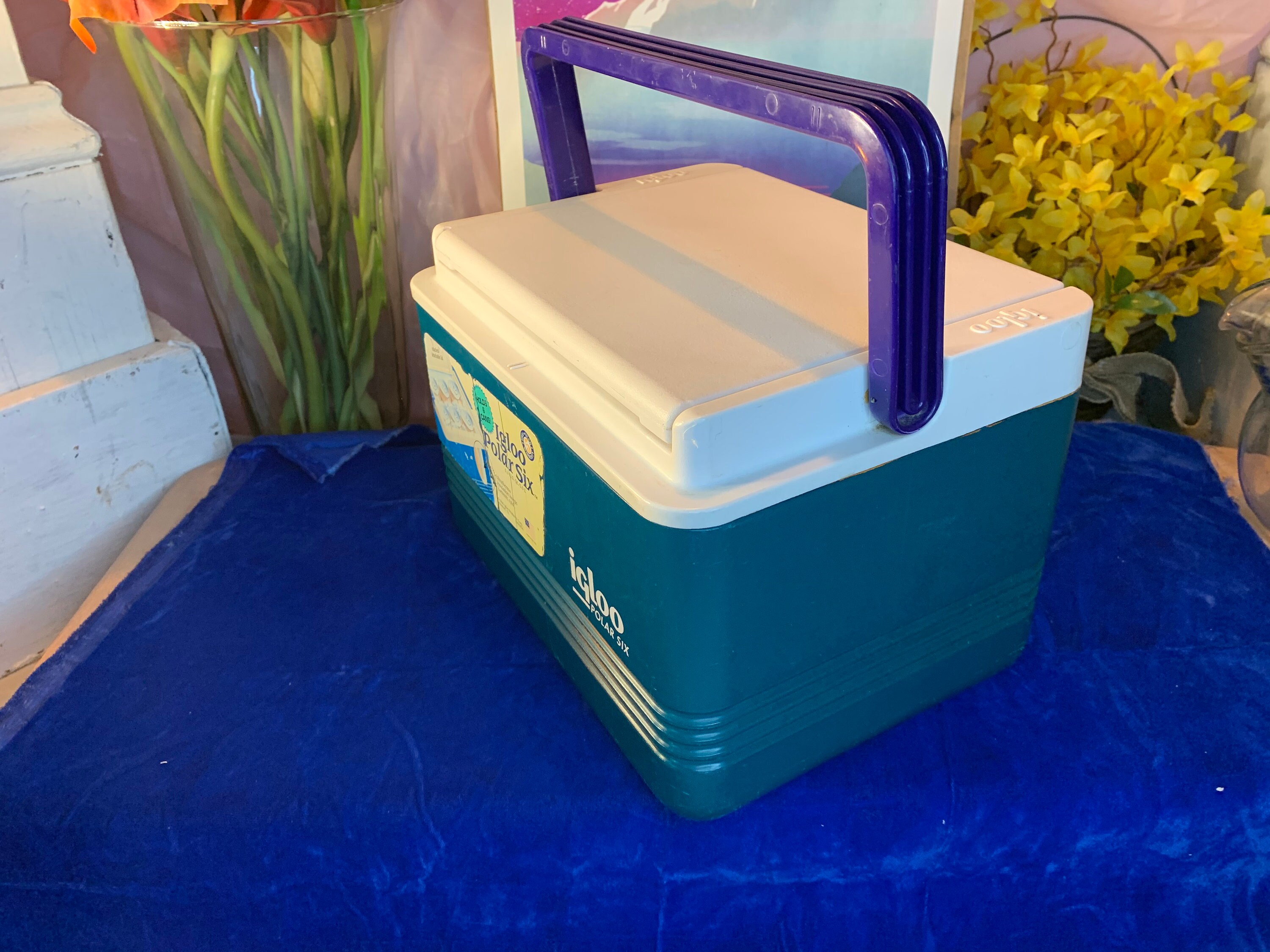 Vintage 90s 6Pack Igloo Cooler Etsy